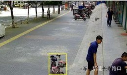 巡查视频爆料,巡查现场直击，揭秘真实情况一幕