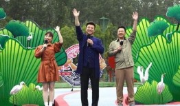 阿诺粉丝爆料视频最新,最新视频揭秘幕后故事